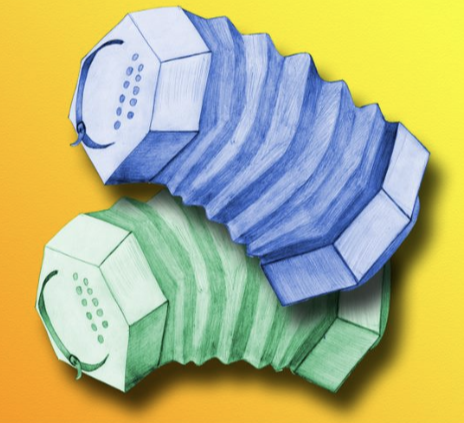 Concertina
